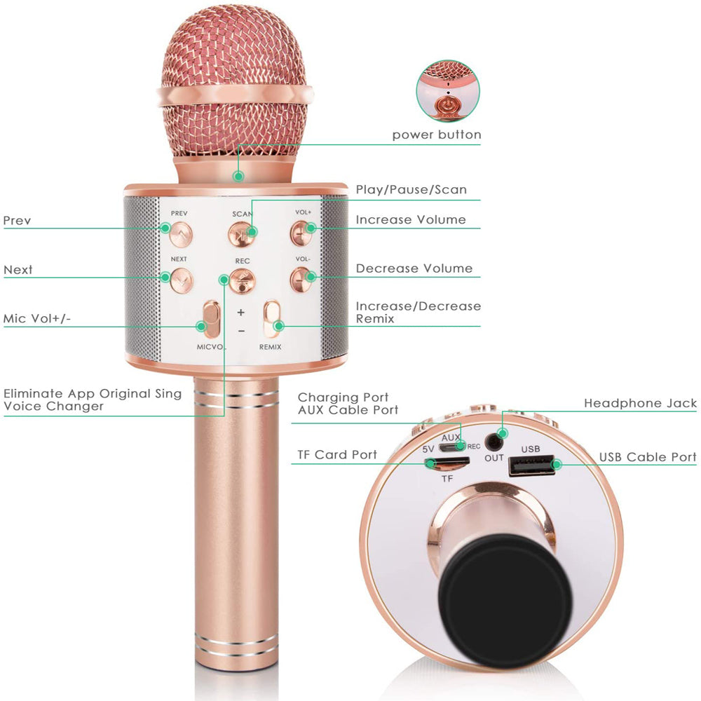 Fun & amazing Karaoke Microphone