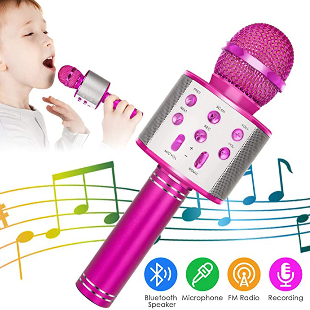 Fun & amazing Karaoke Microphone
